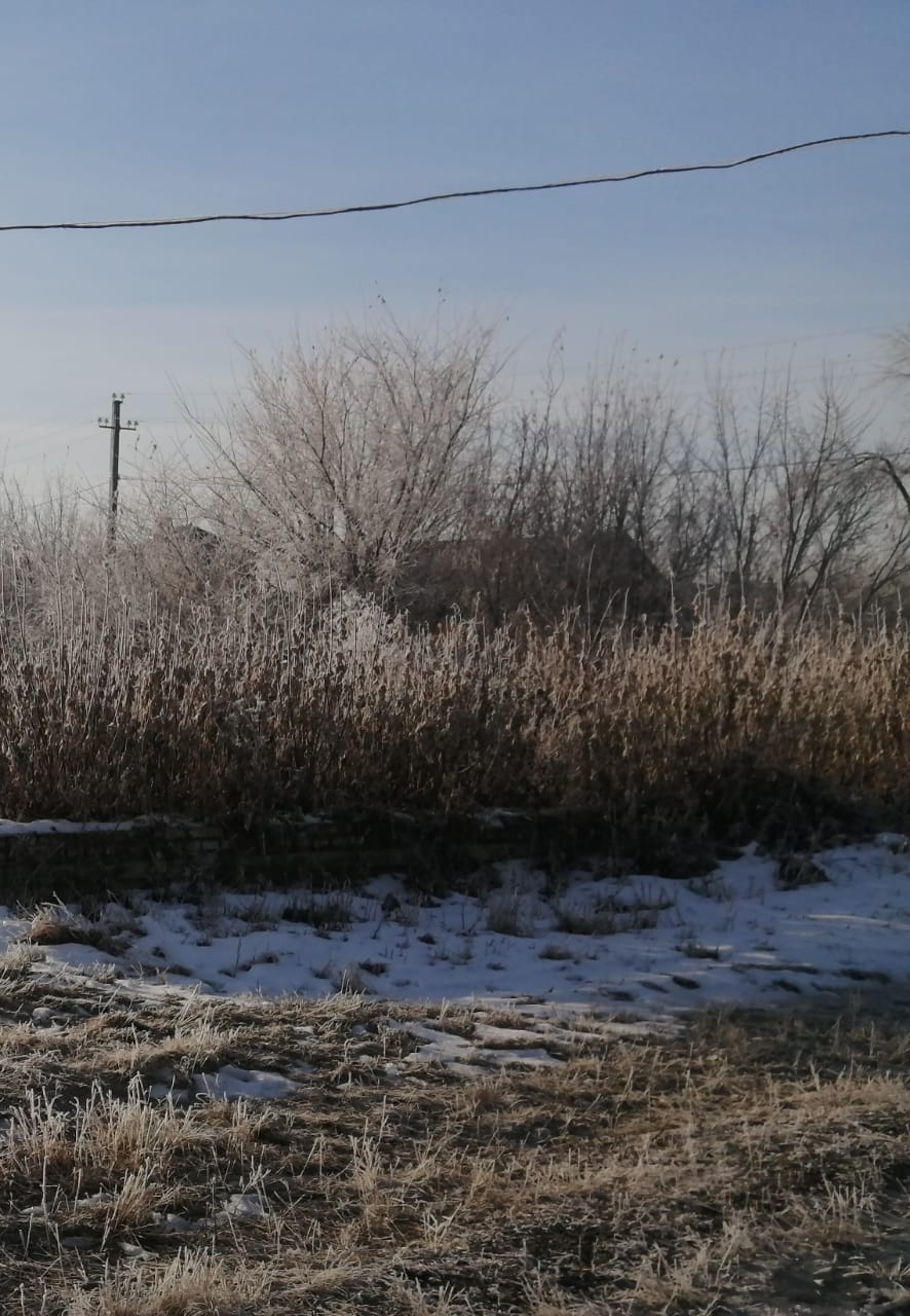 img-2