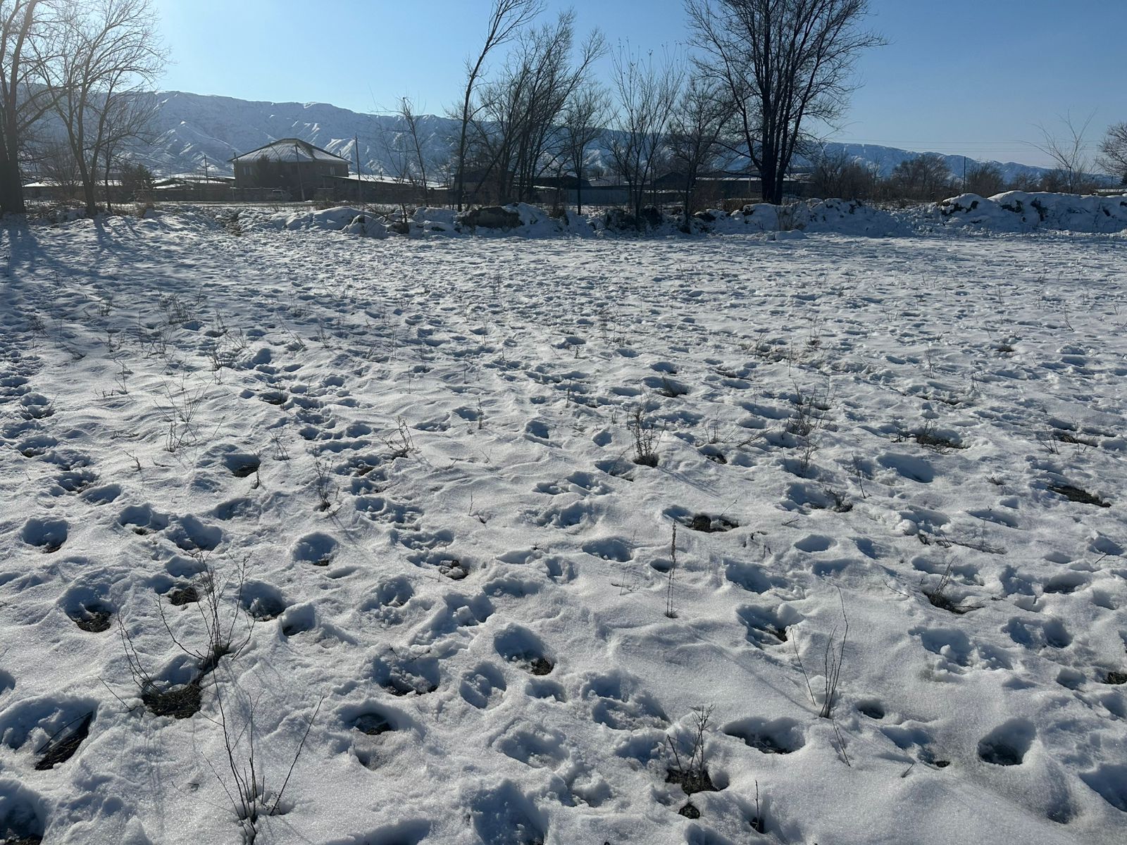 img-1