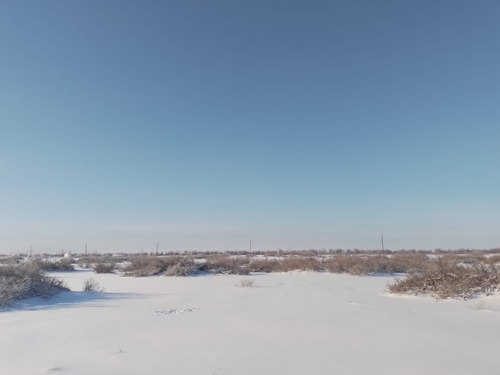 img-2
