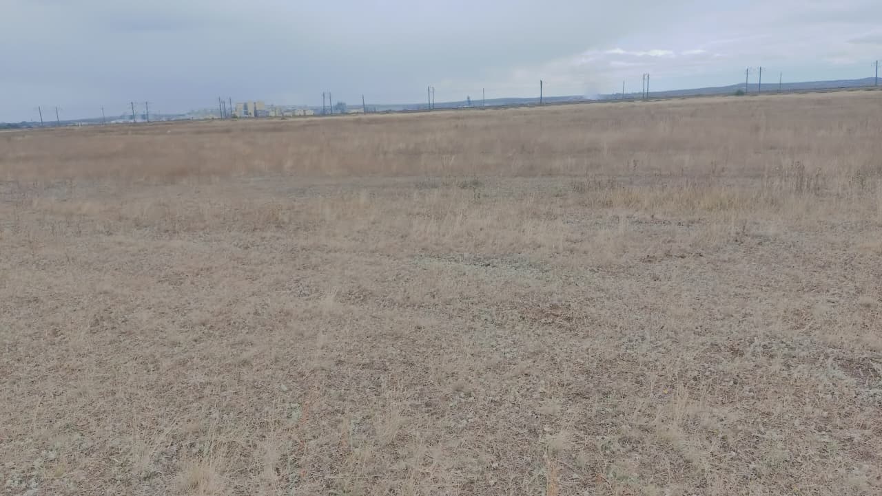 img-2