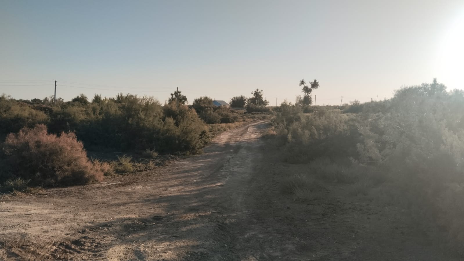 img-0