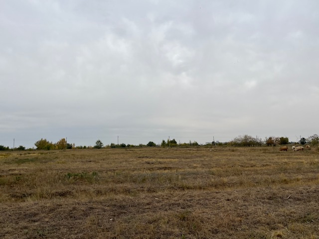 img-3