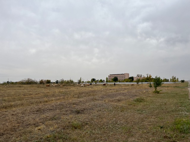 img-2
