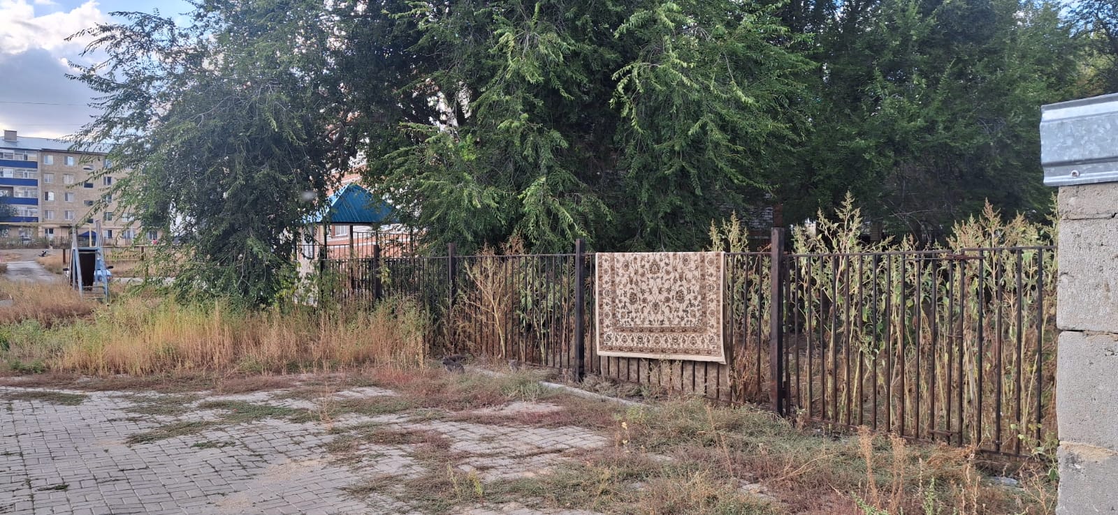 img-4
