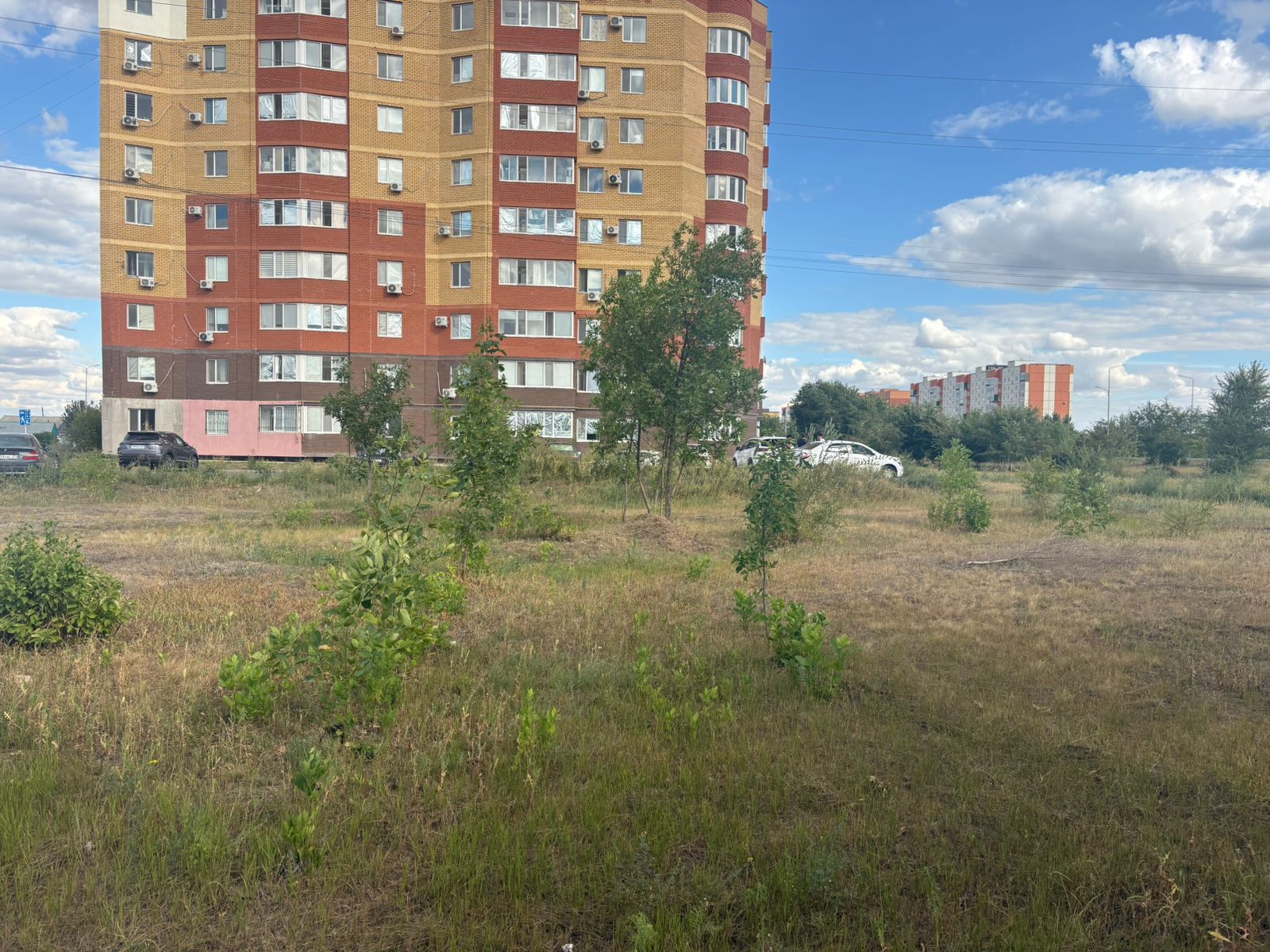img-2