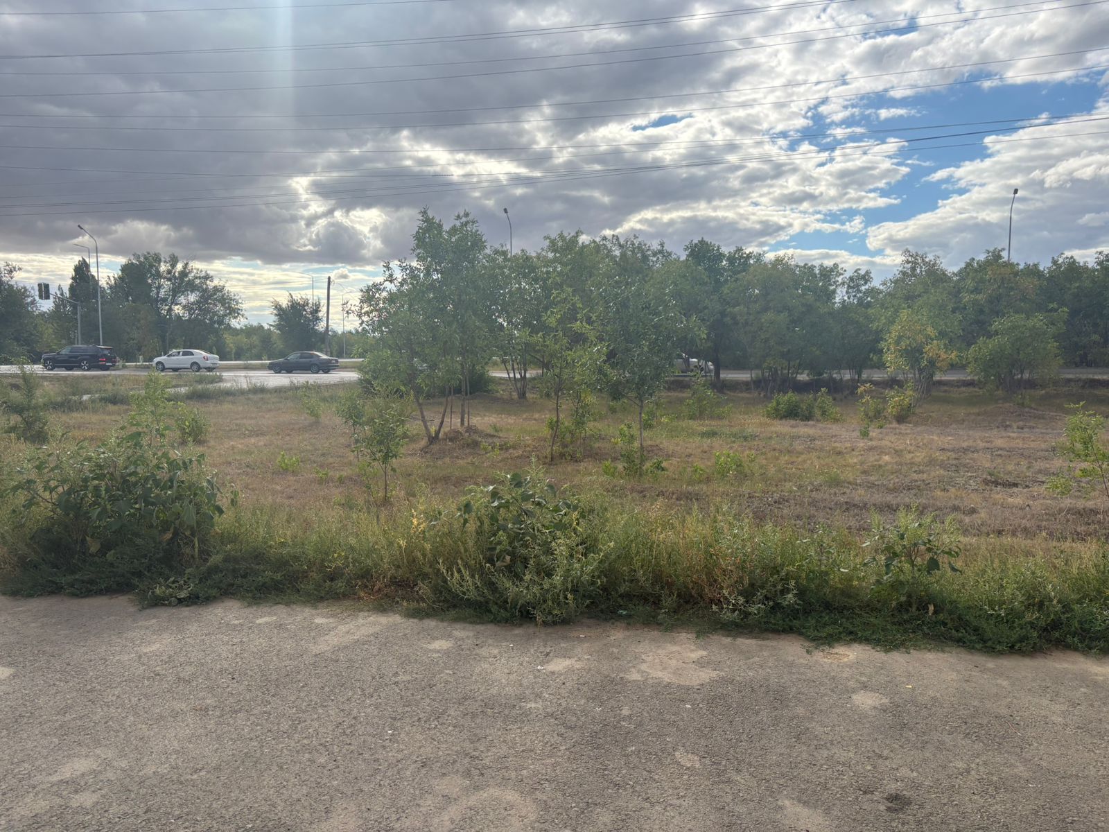 img-3