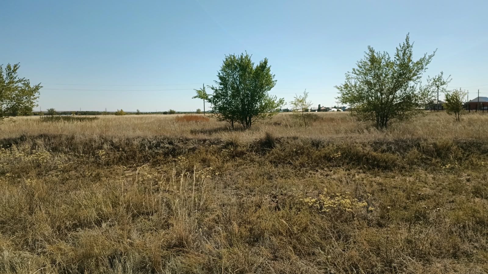 img-3