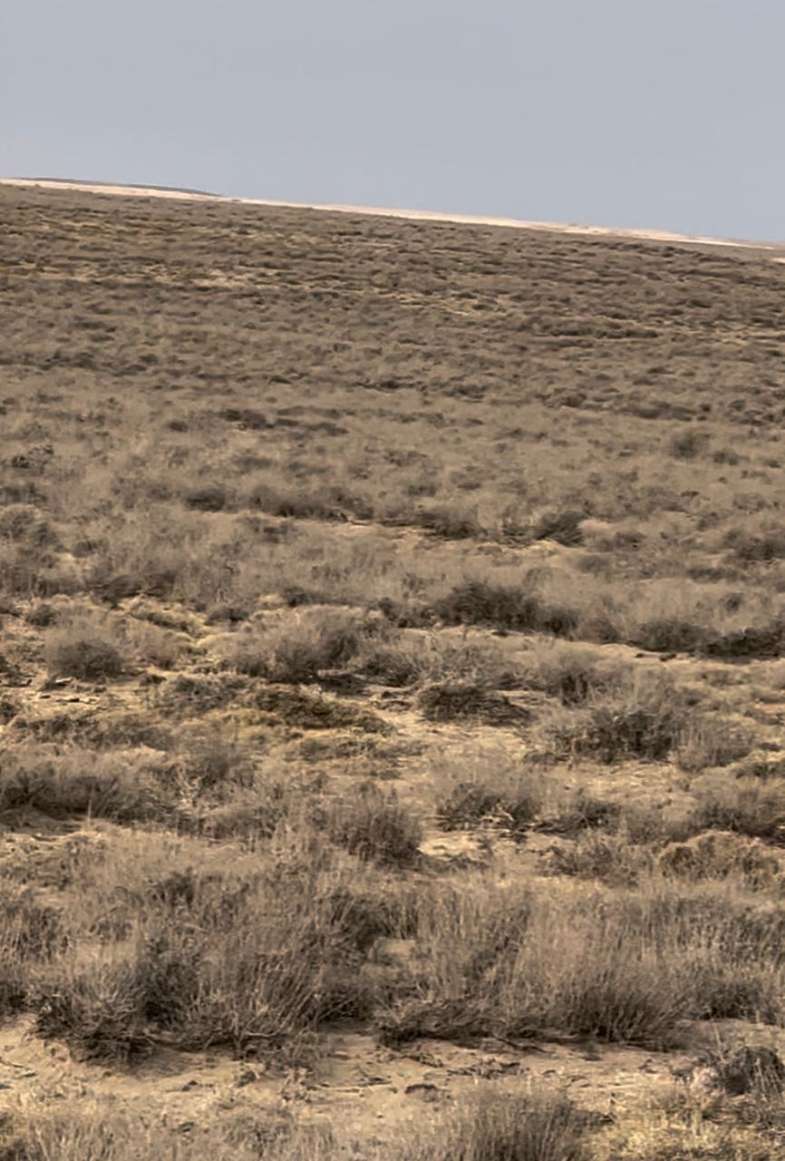 img-1