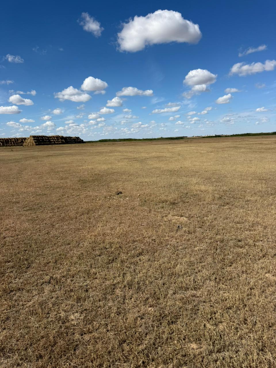 img-4