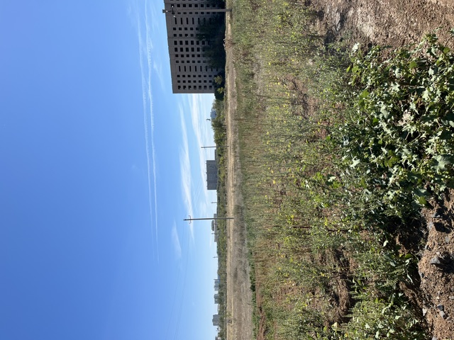 img-2