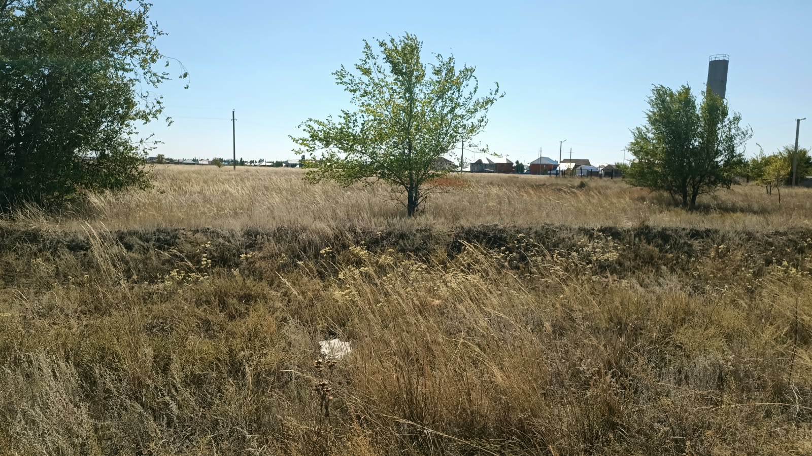 img-1