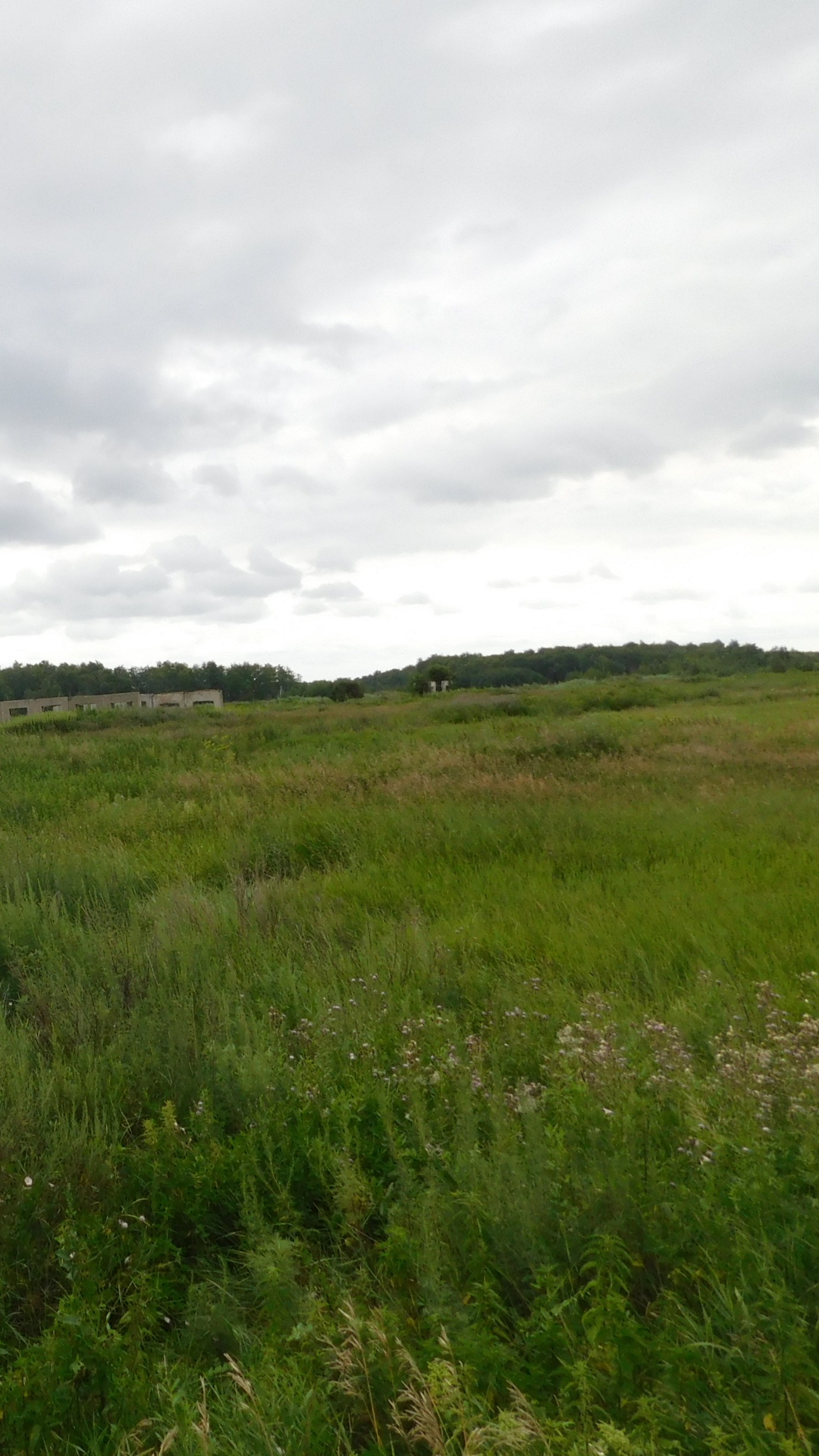 img-0