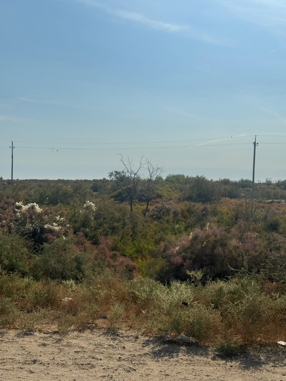 img-2
