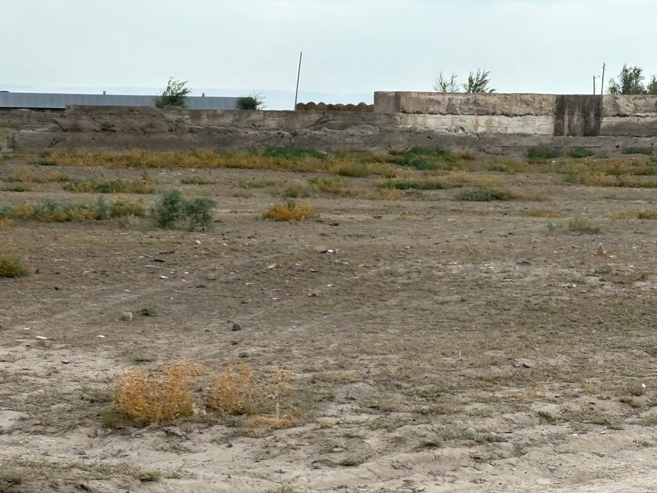 img-0