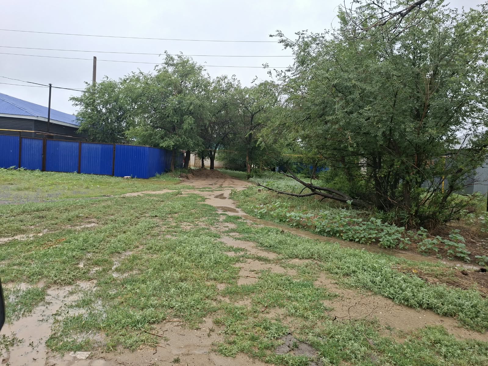 img-1