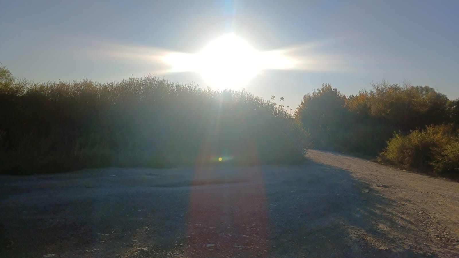 img-2