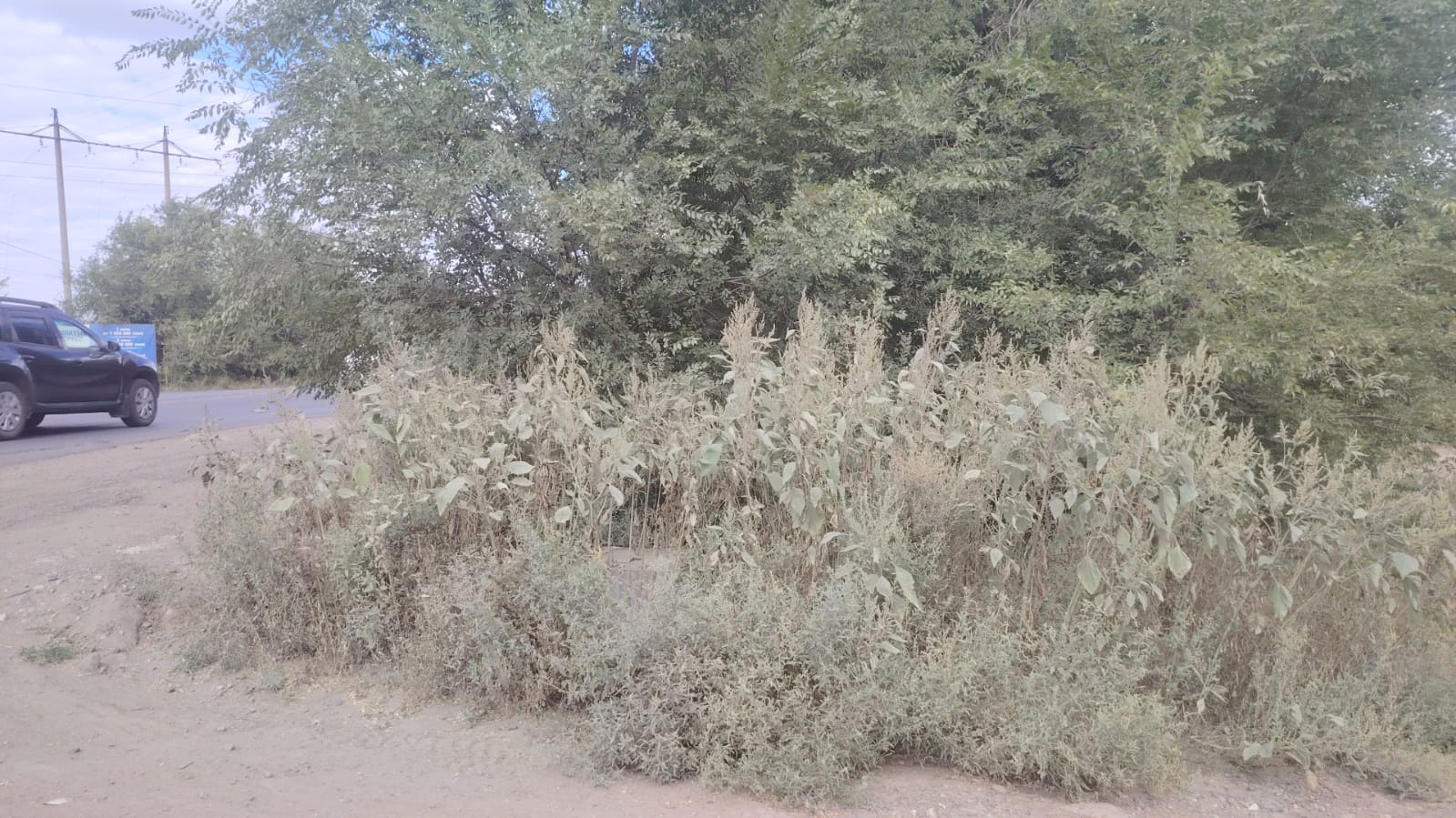 img-2