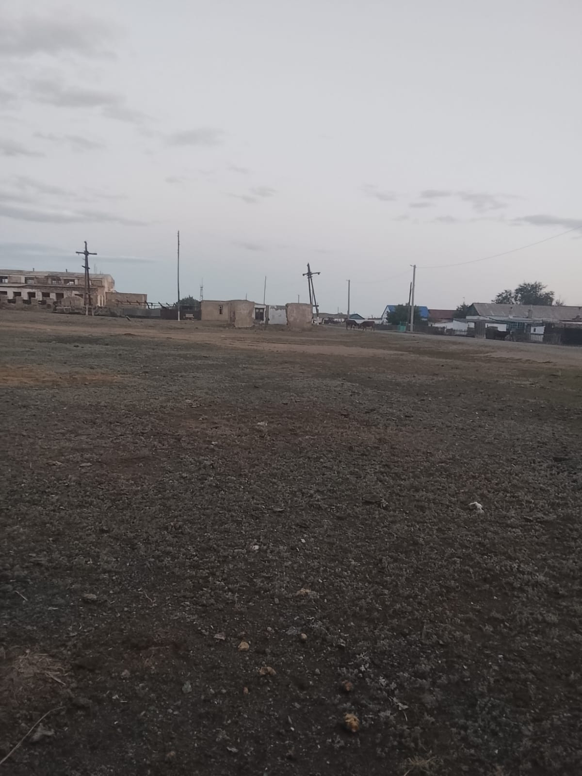 img-2