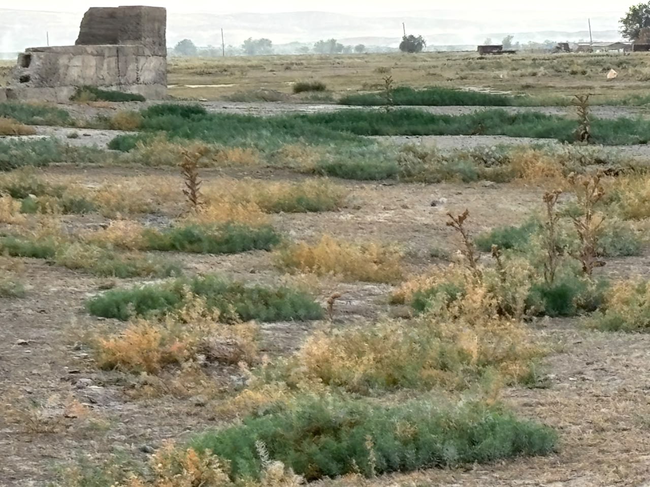 img-1