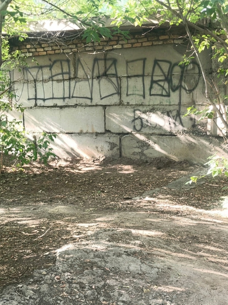 img-0