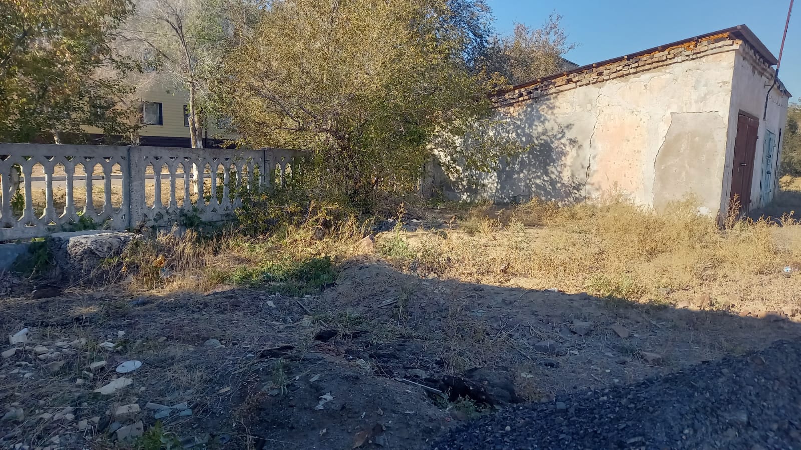 img-2