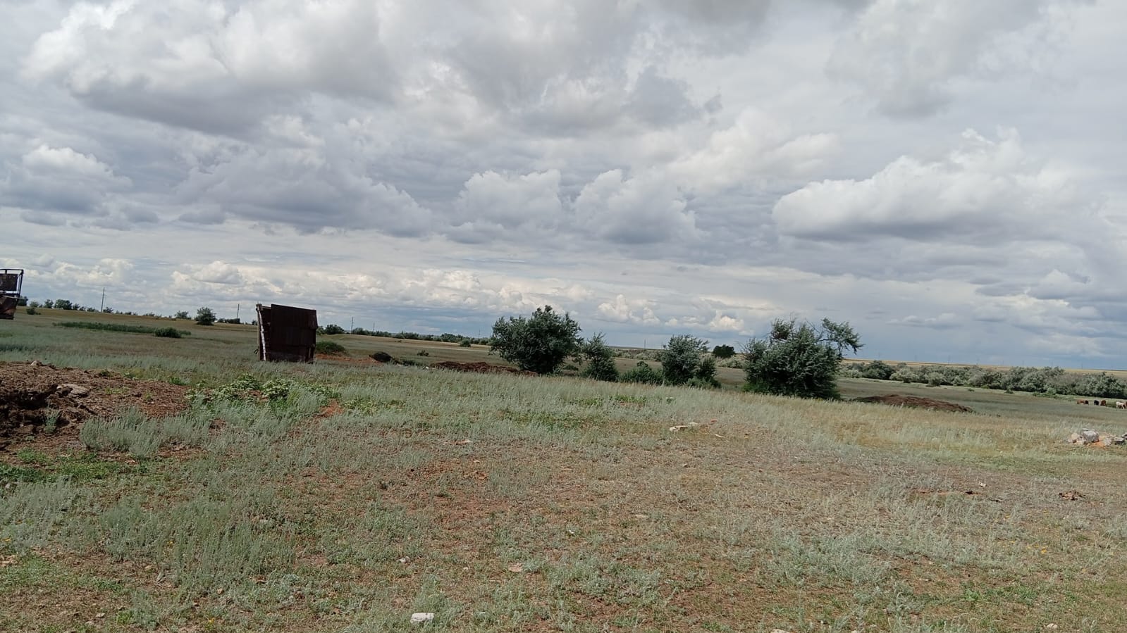 img-0
