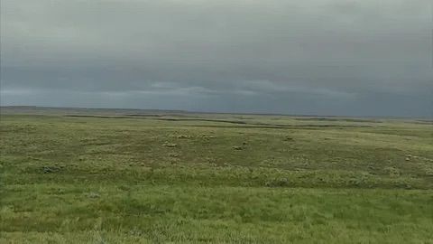 img-0