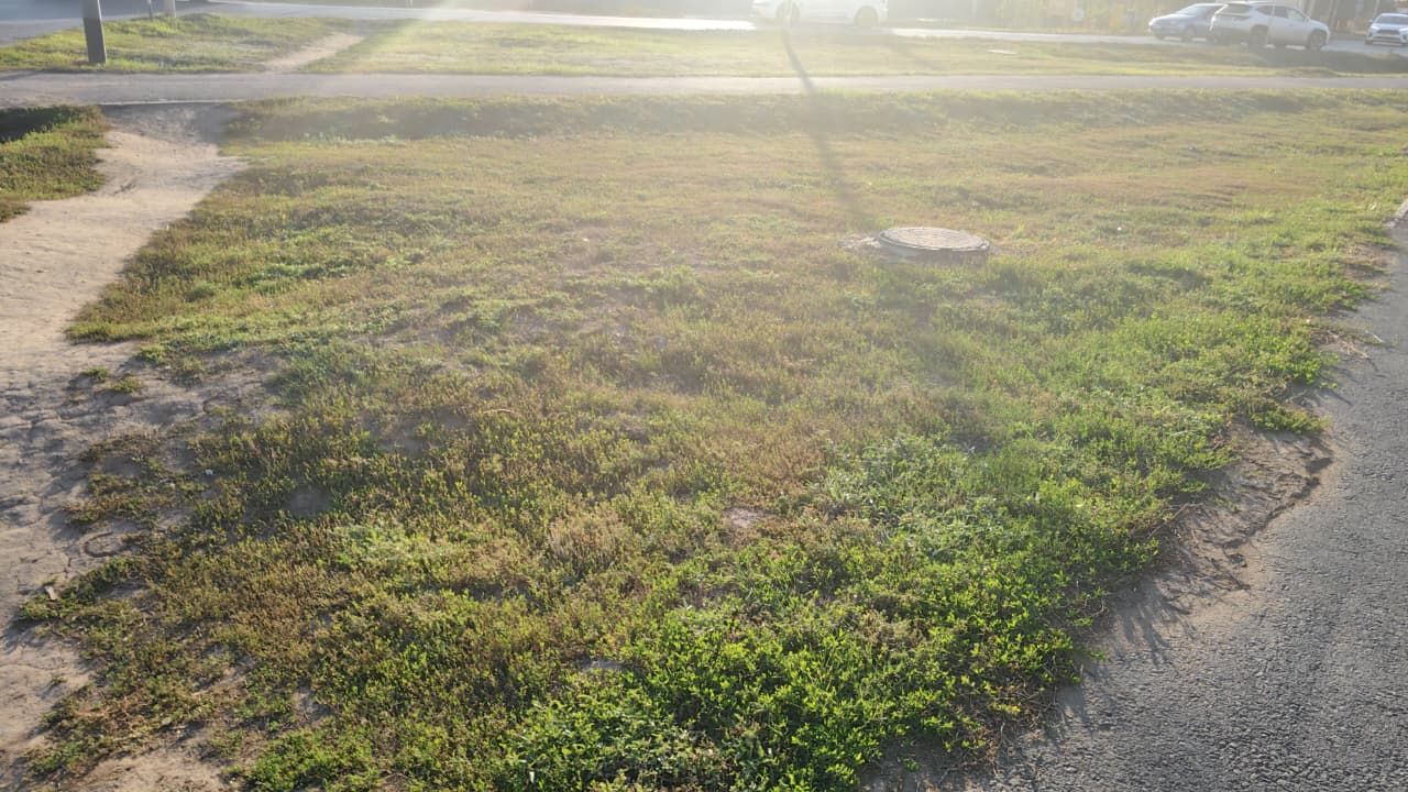 img-1