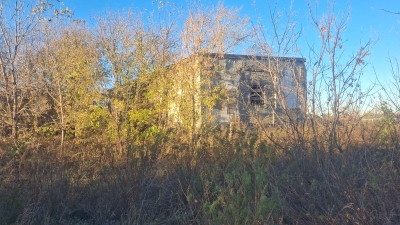 img-0