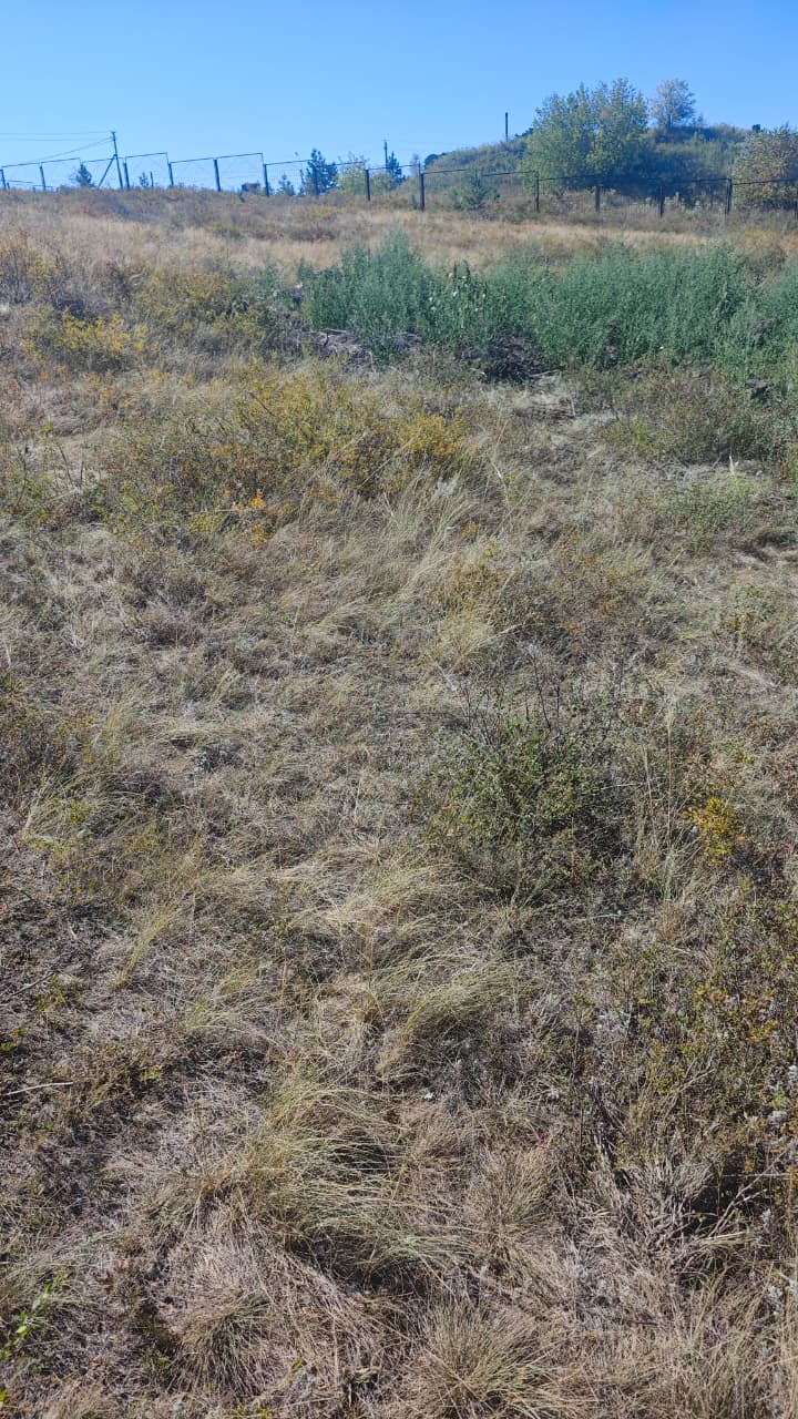 img-2