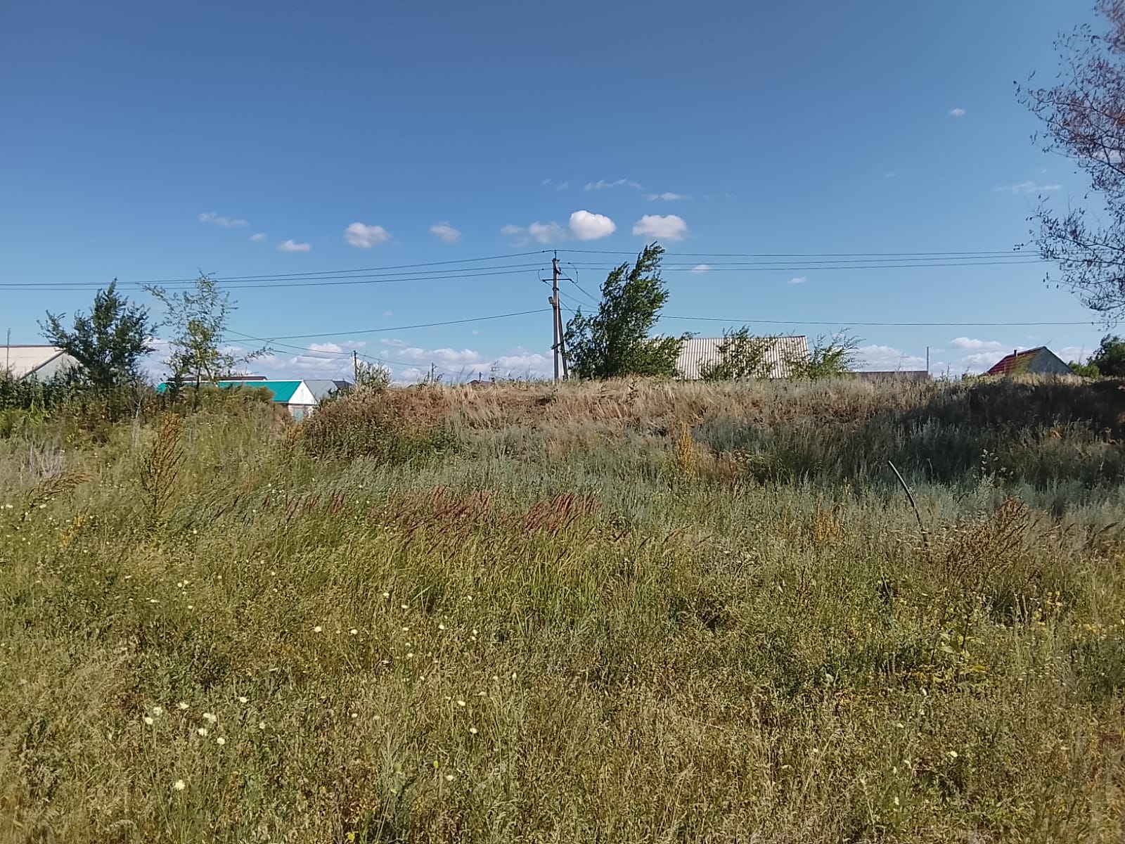 img-2