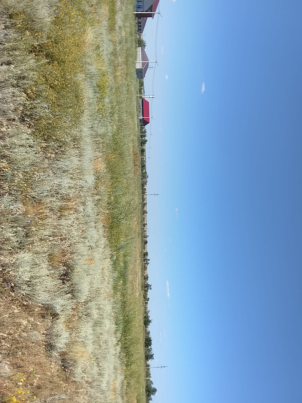 img-0