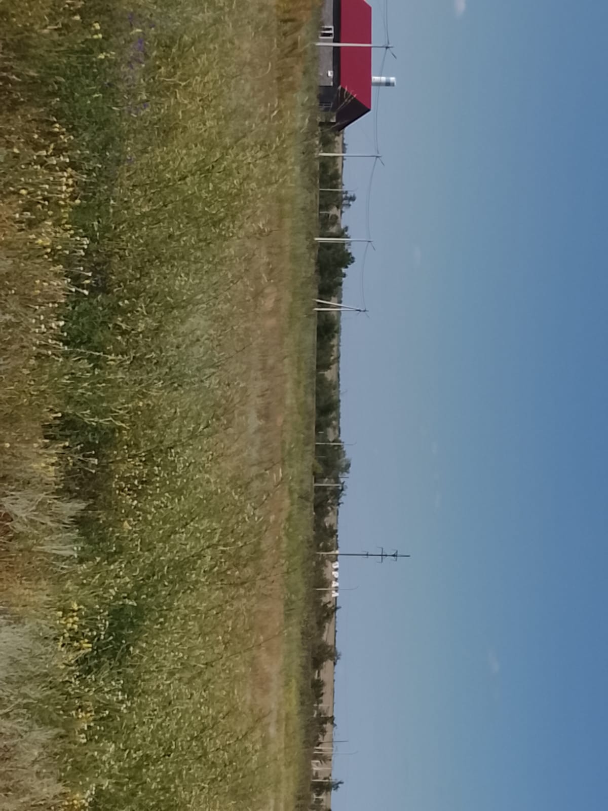 img-3
