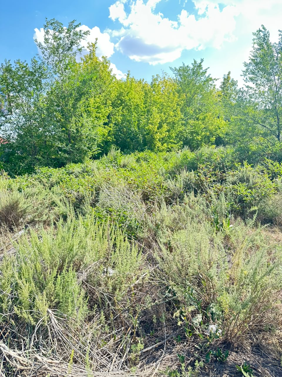 img-2