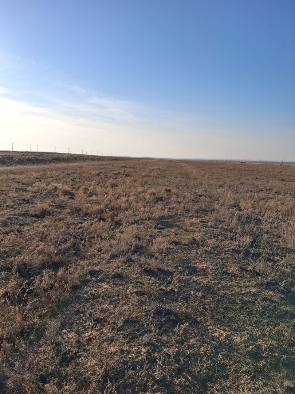 img-3