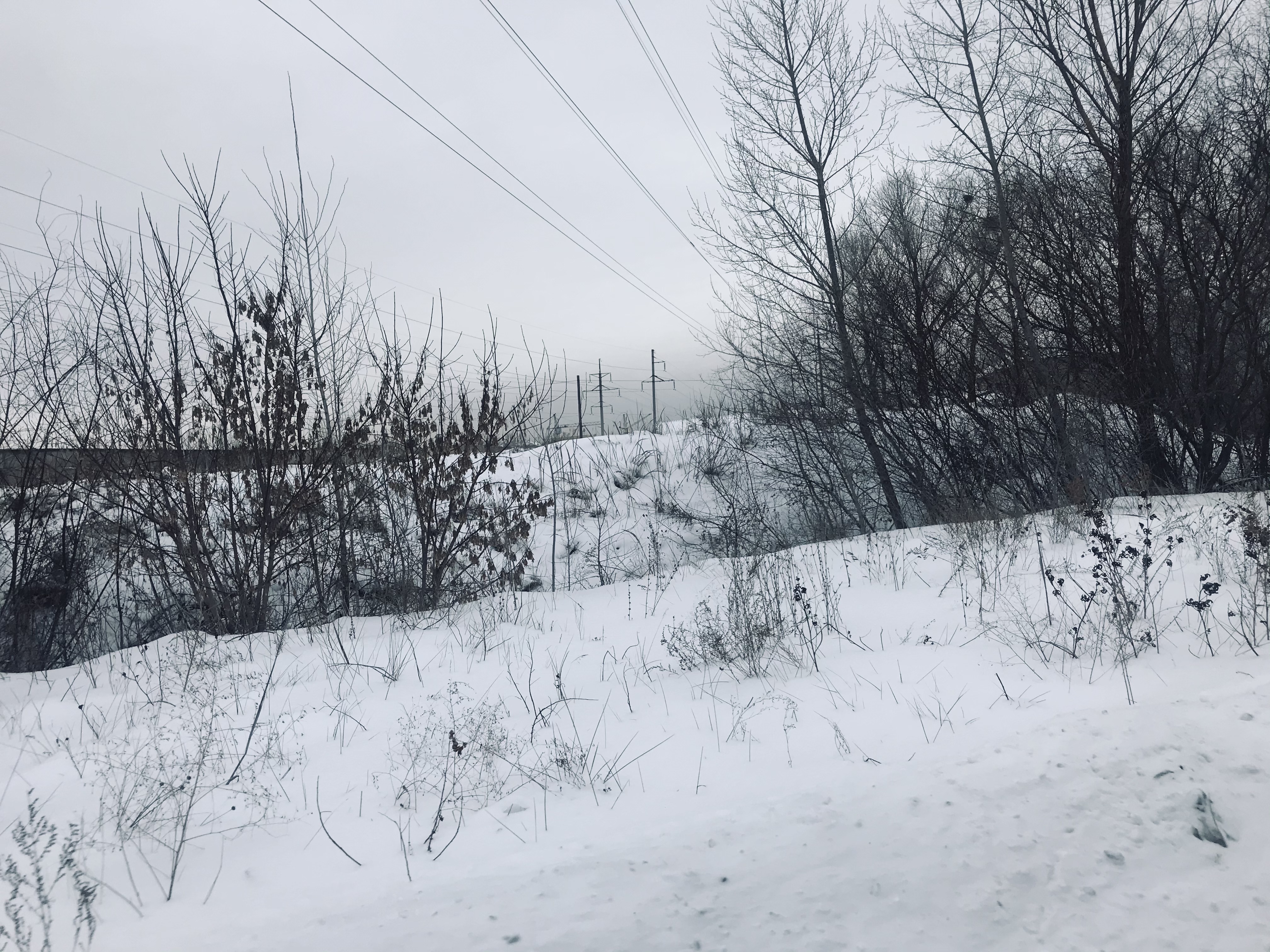 img-2