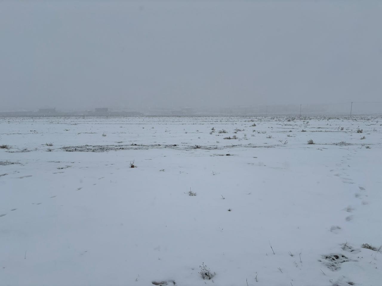img-2