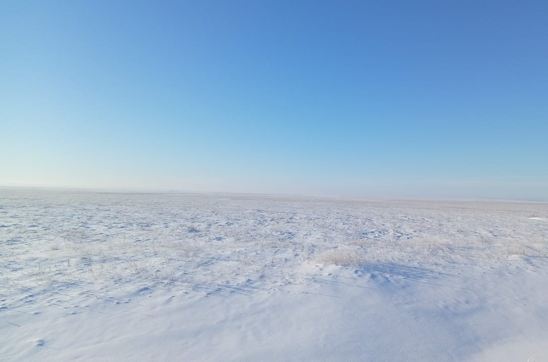 img-4