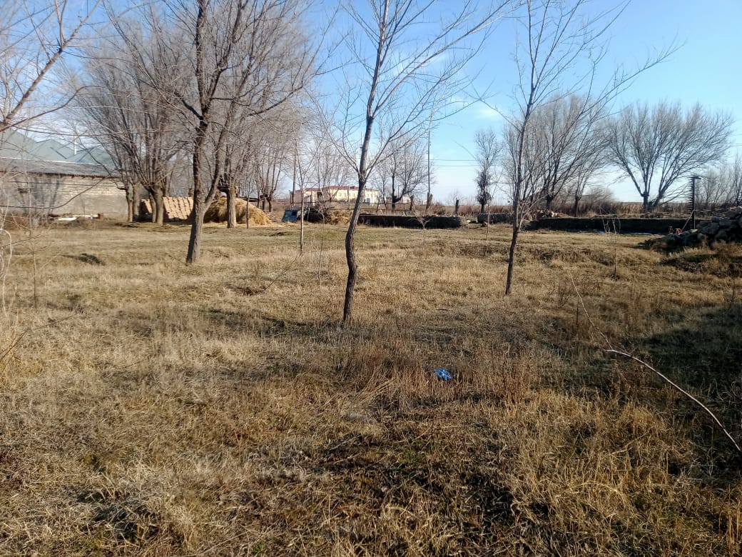 img-2