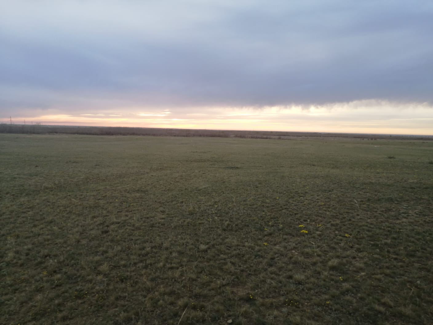 img-0