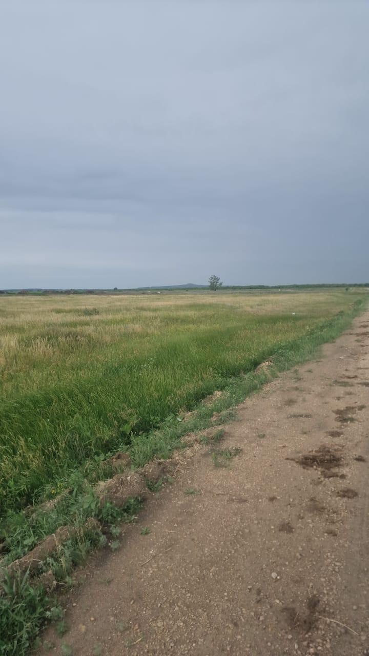 img-3