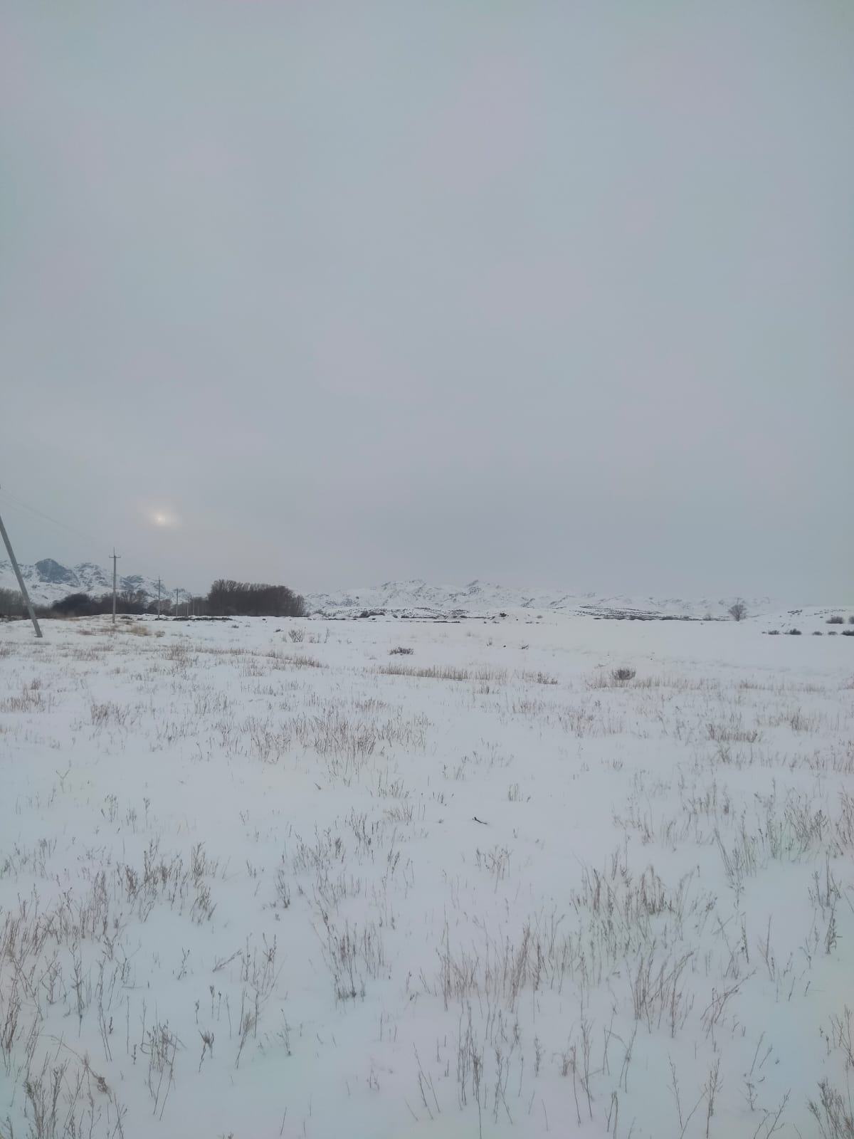 img-3