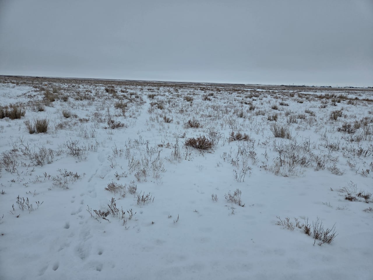 img-3