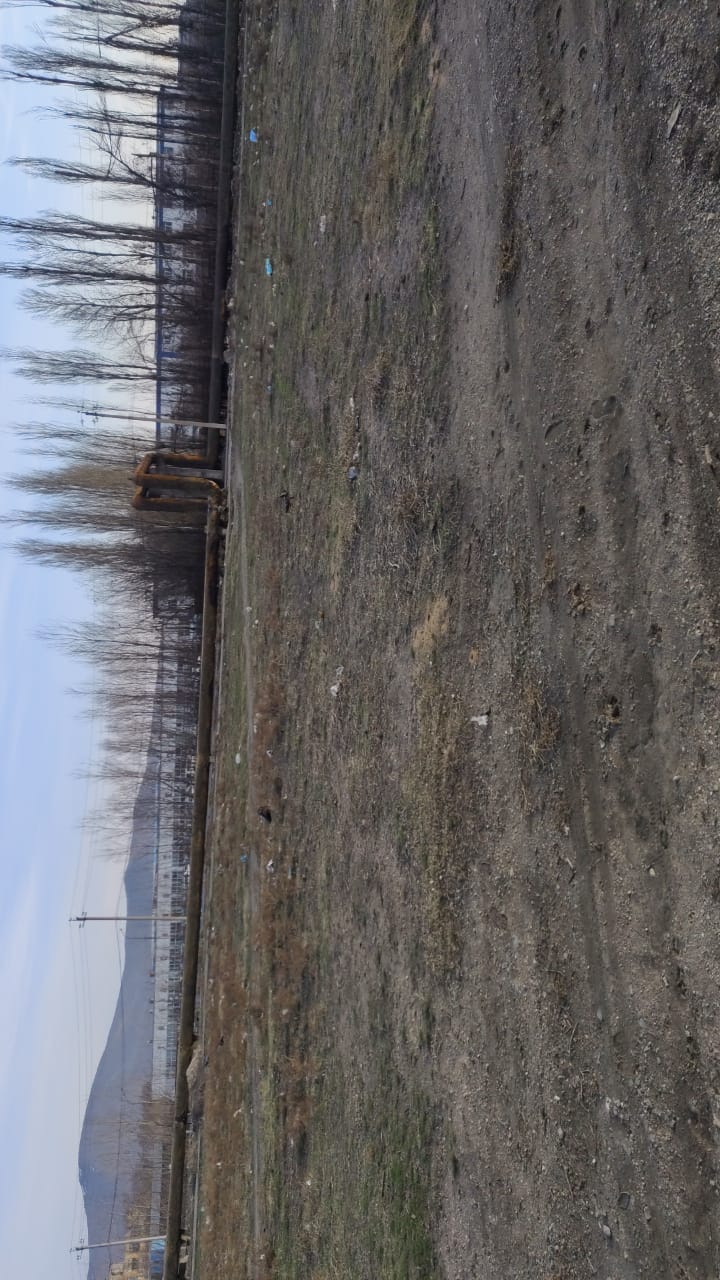 img-4