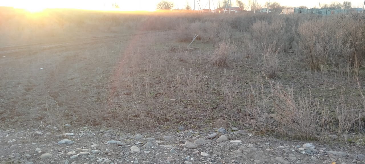 img-2