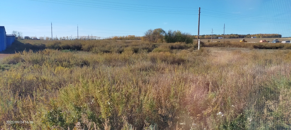 img-4