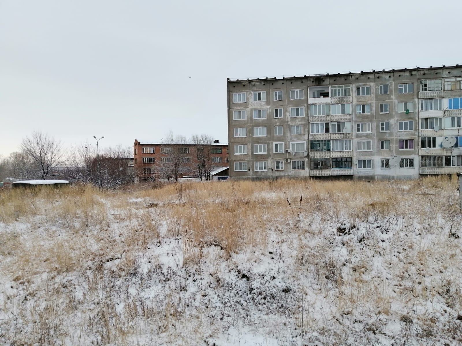 img-2