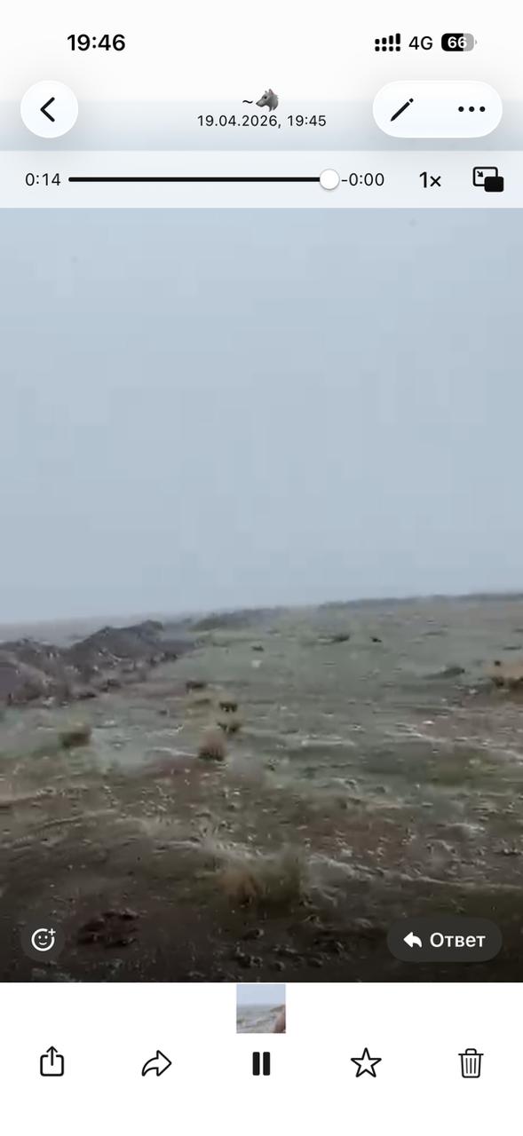 img-0