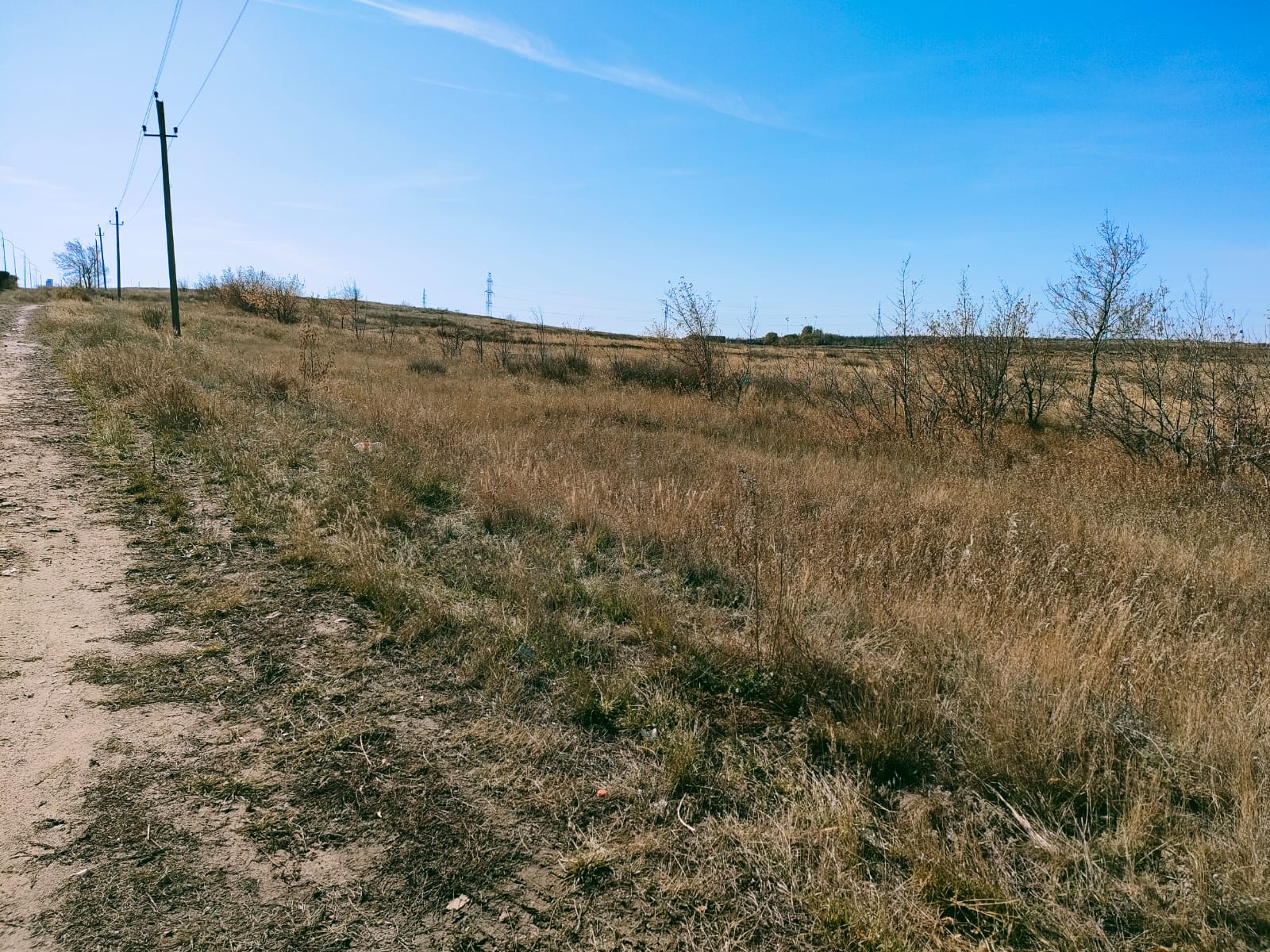 img-3