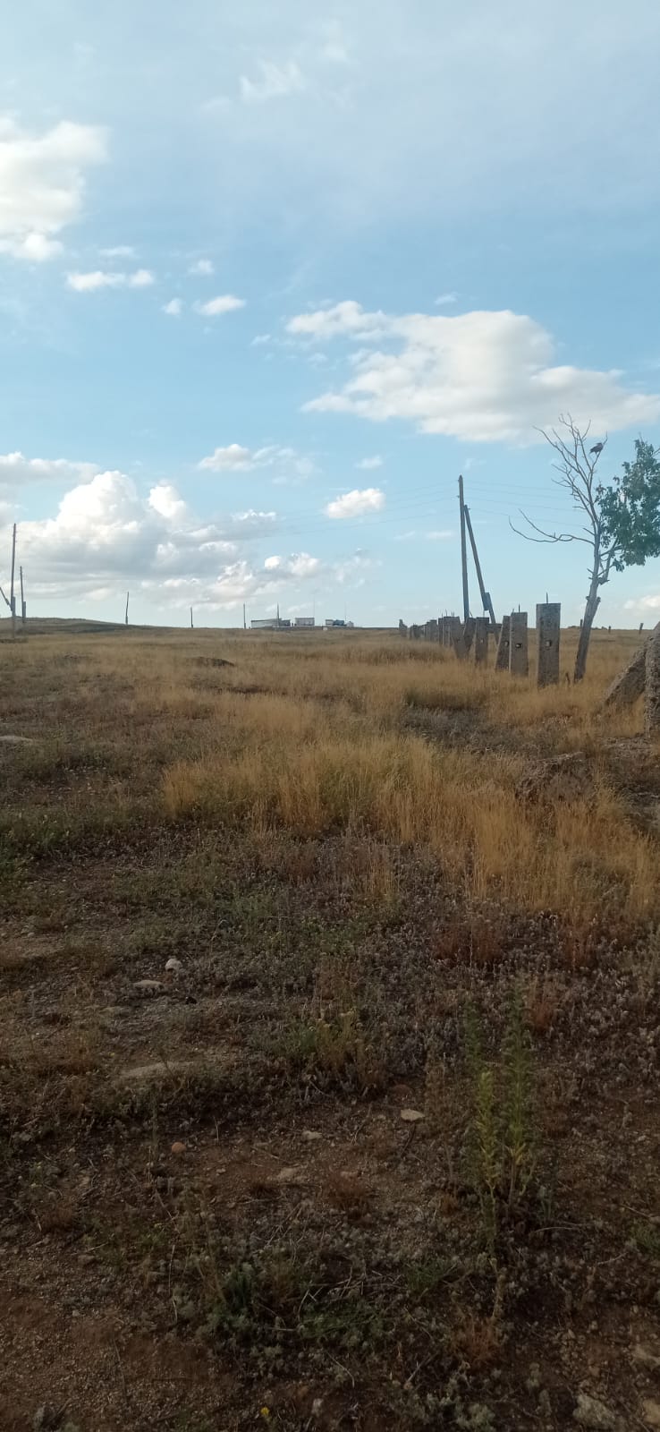 img-2